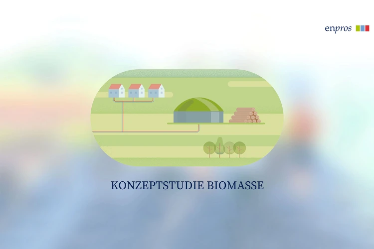 Konzeptstudie und Ingenieursdienstleistungen zur Weiterführung der Studie zur Leistungs- und Effizienzsteigerung der Biomassekraft-werksanlage am Standort Zolling